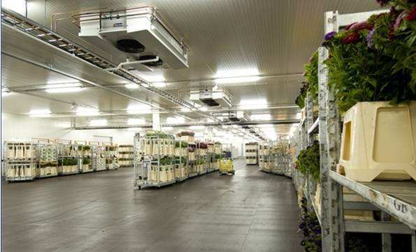 寧波建冷庫(kù)多少錢(qián)一立方？每立方能存多少貨物